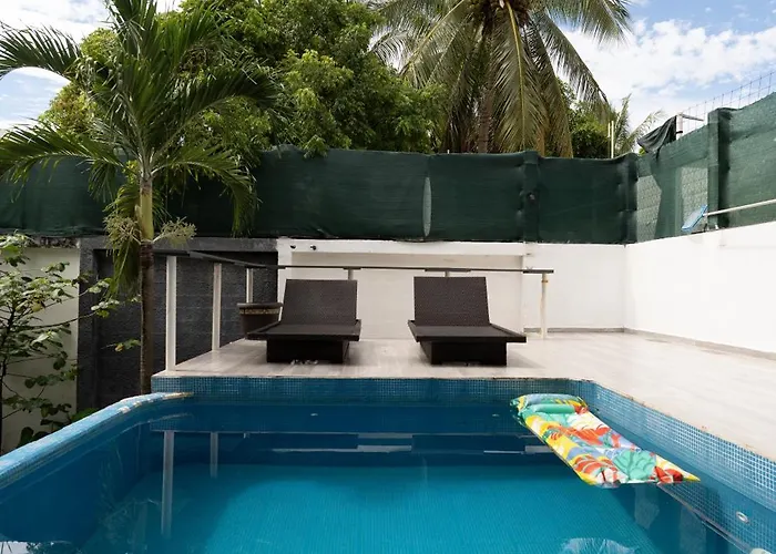 Drift Diving Auberge de jeunesse Cozumel