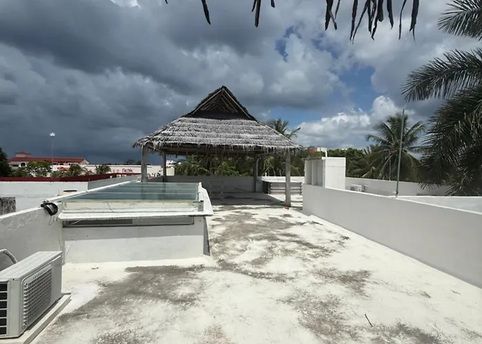 Auberge de jeunesse Drift Diving *