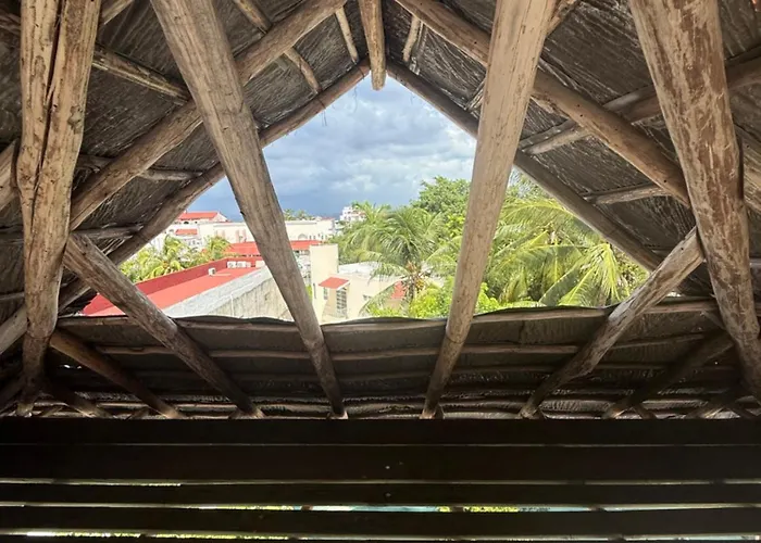 Drift Diving Auberge de jeunesse
