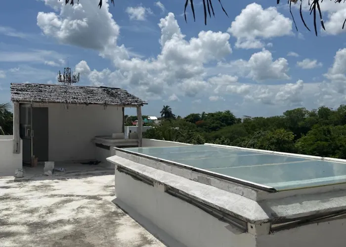 Drift Diving Auberge de jeunesse Cozumel