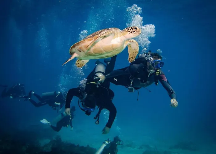 Drift Diving Auberge de jeunesse *