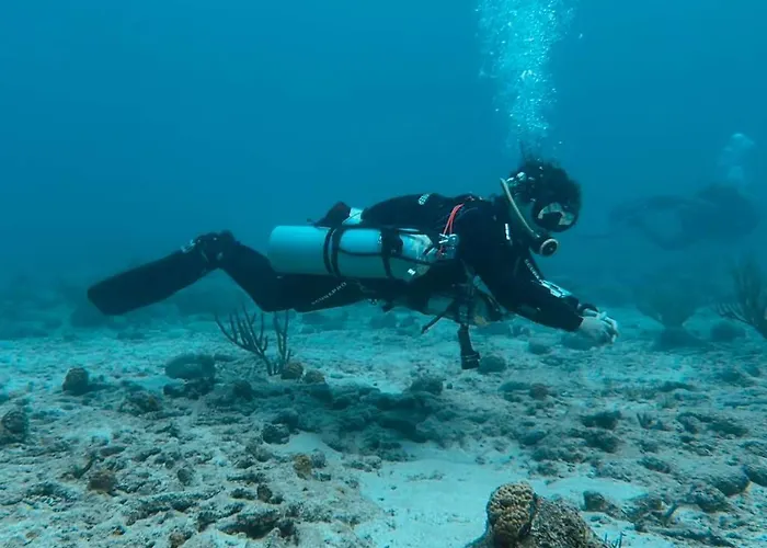 Drift Diving Auberge de jeunesse