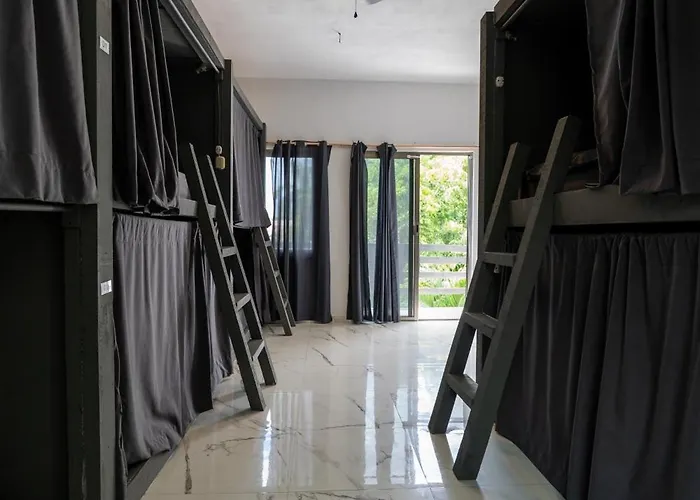 Auberge de jeunesse Drift Diving *