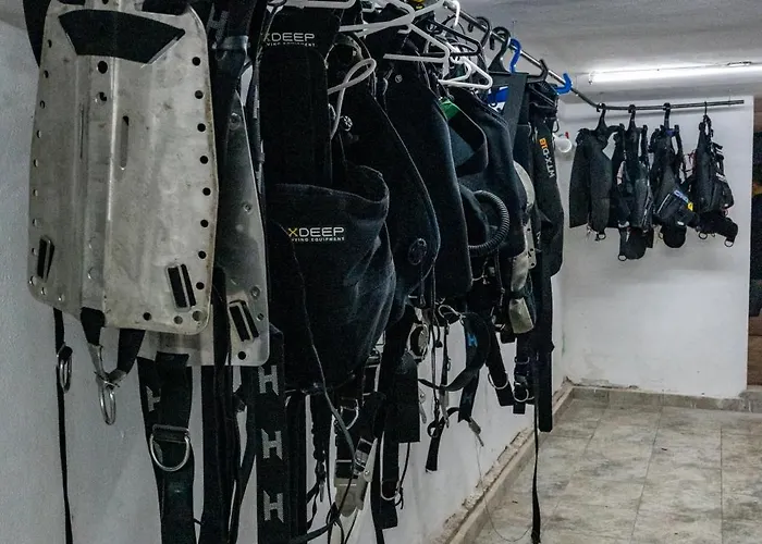 Drift Diving Auberge de jeunesse Cozumel